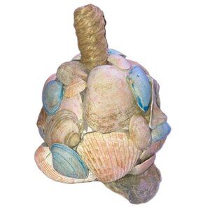 Handcrafted Shell Decor in Natural Tones Fall Harvest Pumpkin 5 x 5 inches